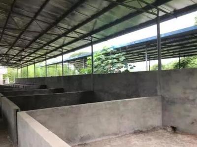 豪猪养殖场建设实施方案