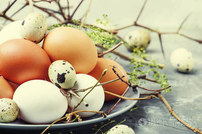 春季怎么可以让鸡多产蛋？
