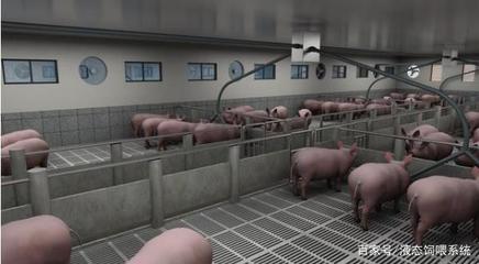 楼房养猪的优缺点有哪些？楼房养猪是怎样设计的