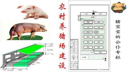 规模化养猪场的整体设计方法