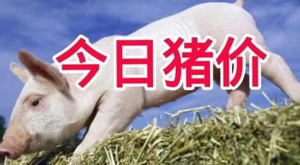 夏季减少生猪应激的措施